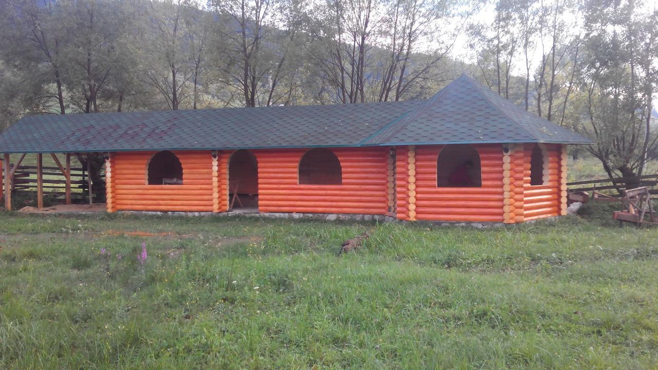 Плай Vila Verkhovyna Exterior foto
